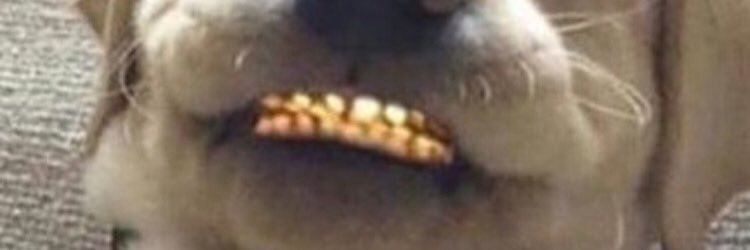 kingjadeSHE's profile banner image