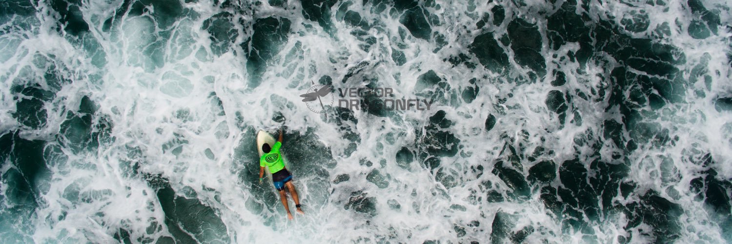 vector dragonfly banner