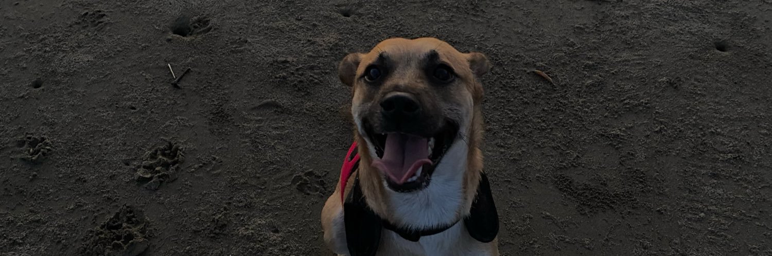 SaulTrouble's profile banner image