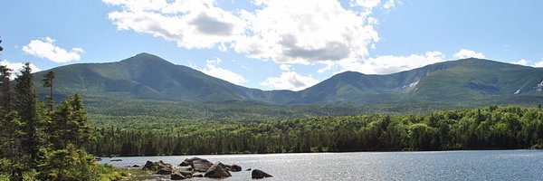 moos3 Profile Banner