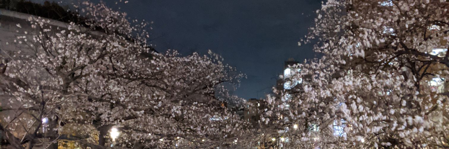 ark_tkht's profile banner image