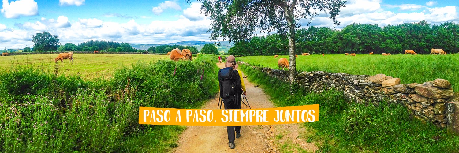 MarlyCamino's profile banner image