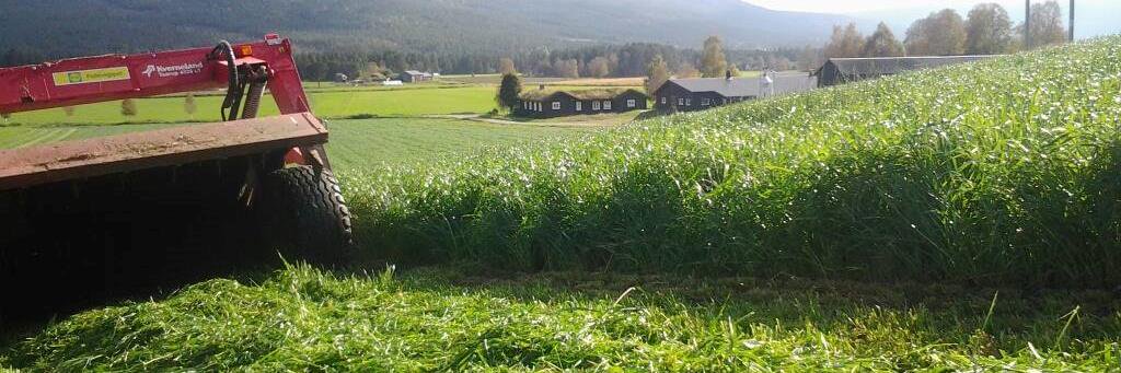 Erling Aas-Eng banner