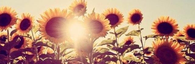 jesscraft11's profile banner image