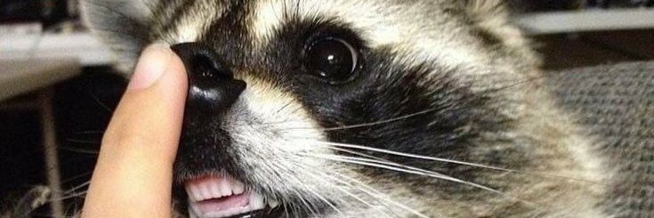 JuKplr's profile banner image