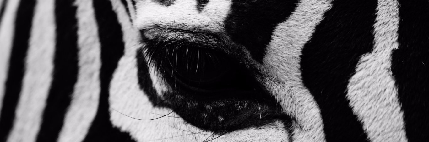 a_onat's profile banner image