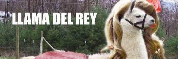 JustLikeBrejo's profile banner image