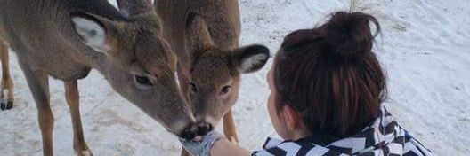 Stephanydawn15's profile banner image