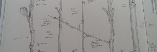 BrookmillPark Profile Banner