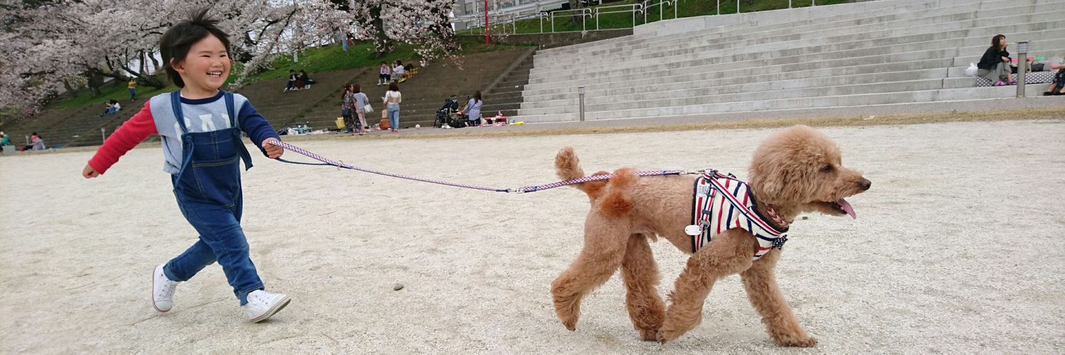 Rion_looove's profile banner image