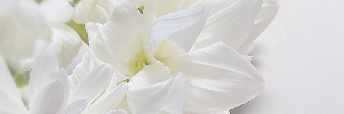 はな banner