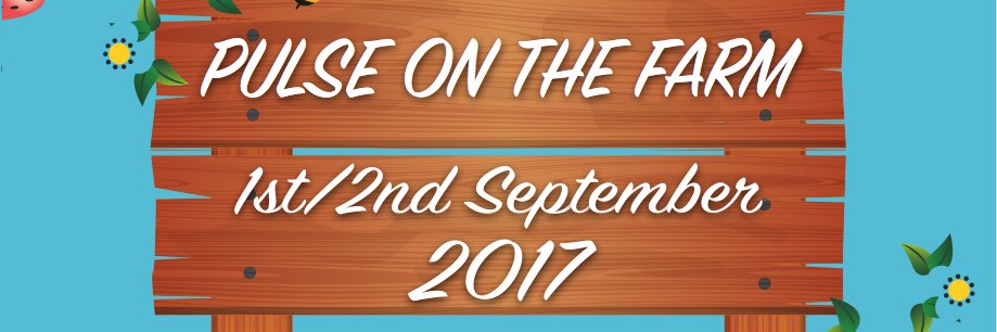 pulsefestivaluk's profile banner image