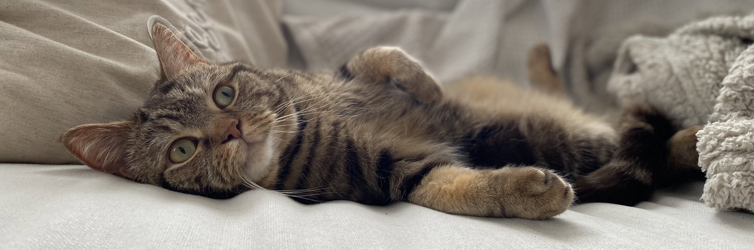 Jessica Natalie banner