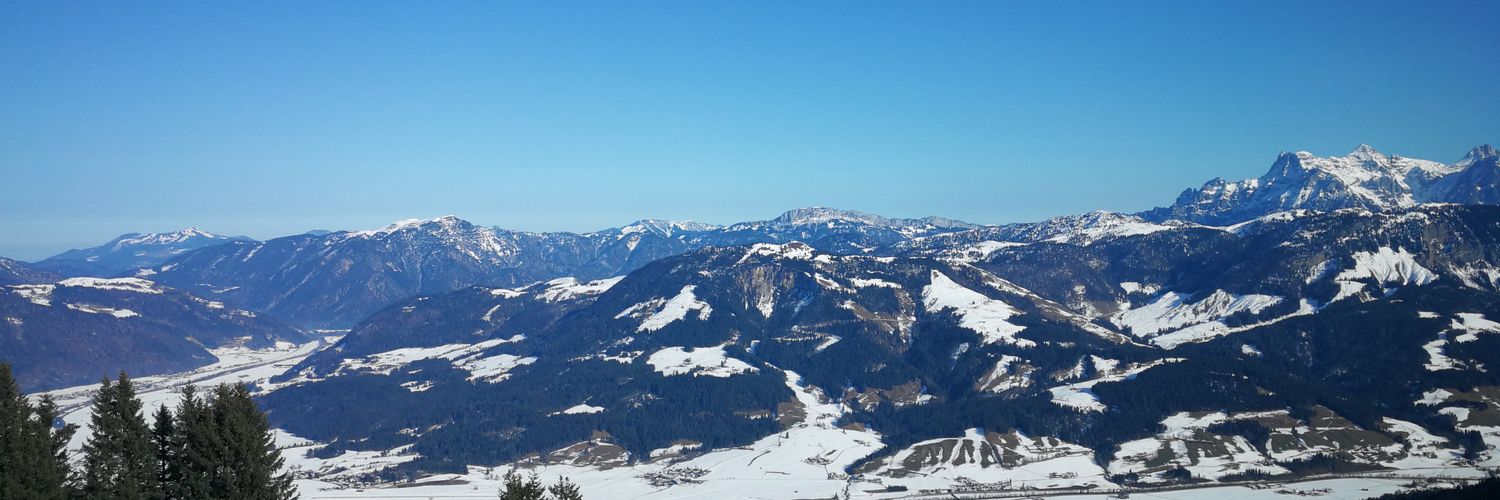 patricia hall banner