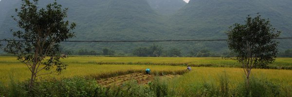 ihpshen Profile Banner