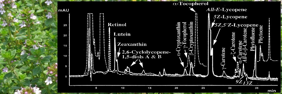 Marc Demillequand, PhD, Chem Lc.🇧🇪 banner