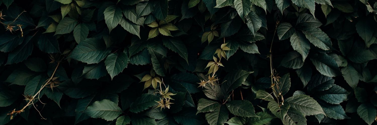 milarebell's profile banner image