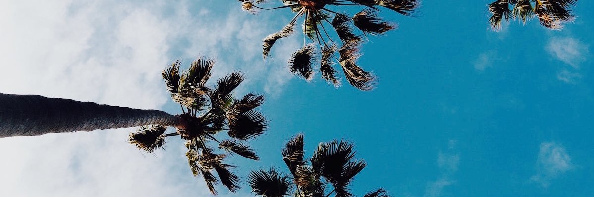 mikespacone's profile banner image