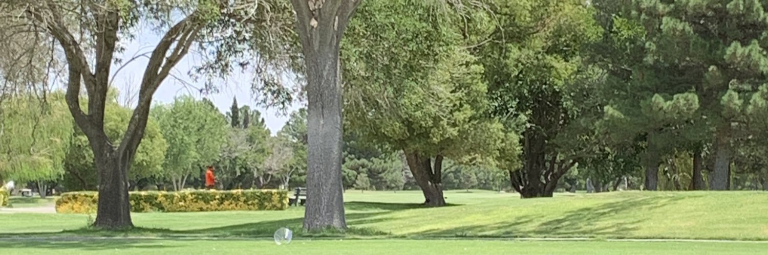 dwizza24's profile banner image