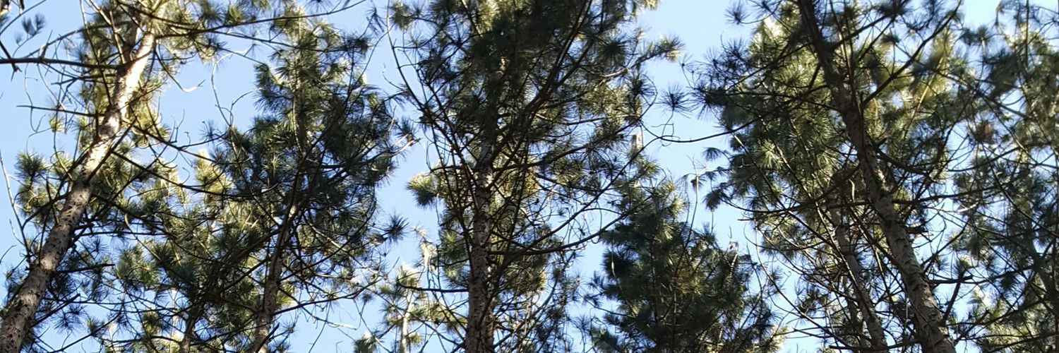 RNJessicaLam's profile banner image