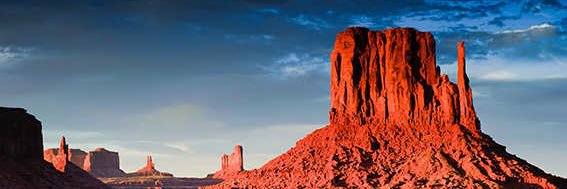 Maddie Garner banner