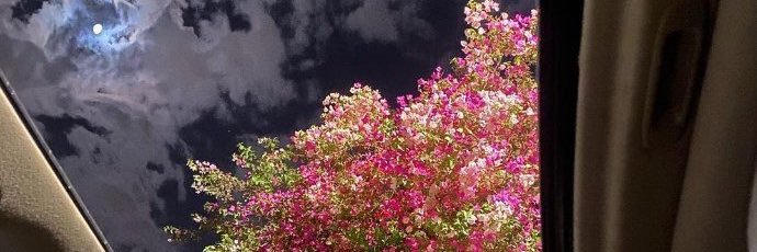 Tee_white11's profile banner image