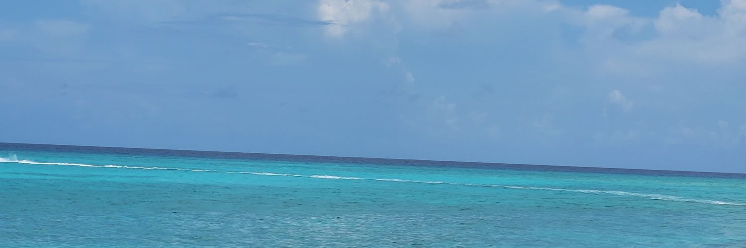 Mr. Cowboy to you(Generally Controversial)🧩♠️🎭🚭 banner