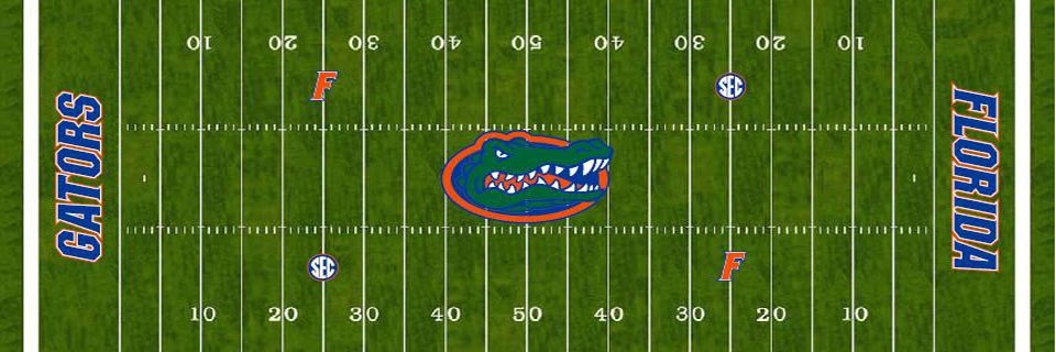 Florida Man banner