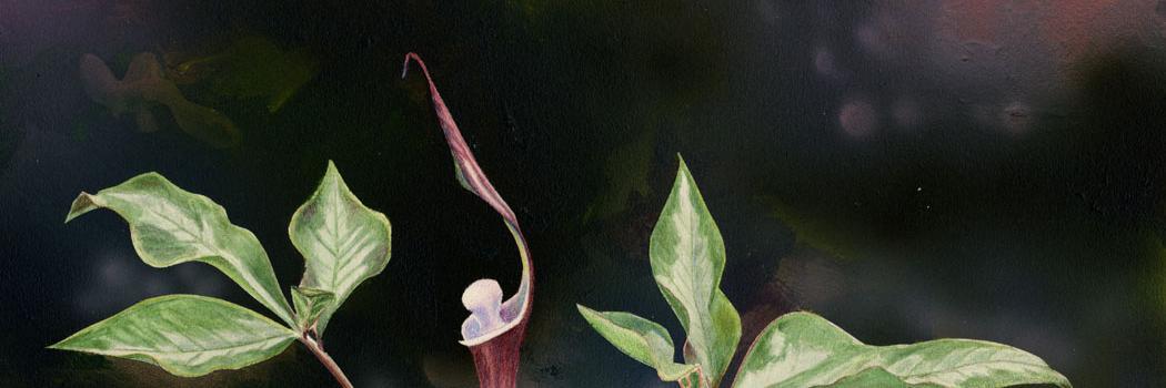 Gretchen Kai Halpert banner