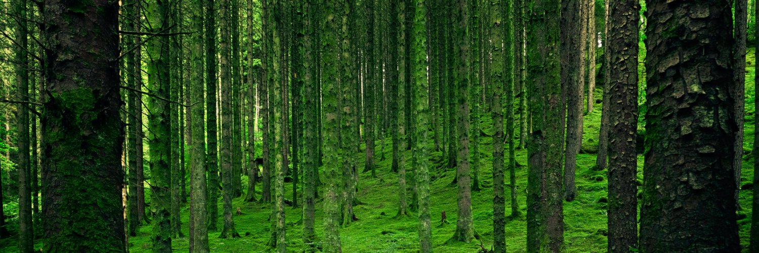Benin_Bnd's profile banner image
