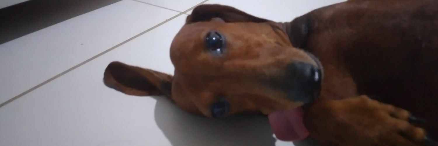 soueucarlo's profile banner image