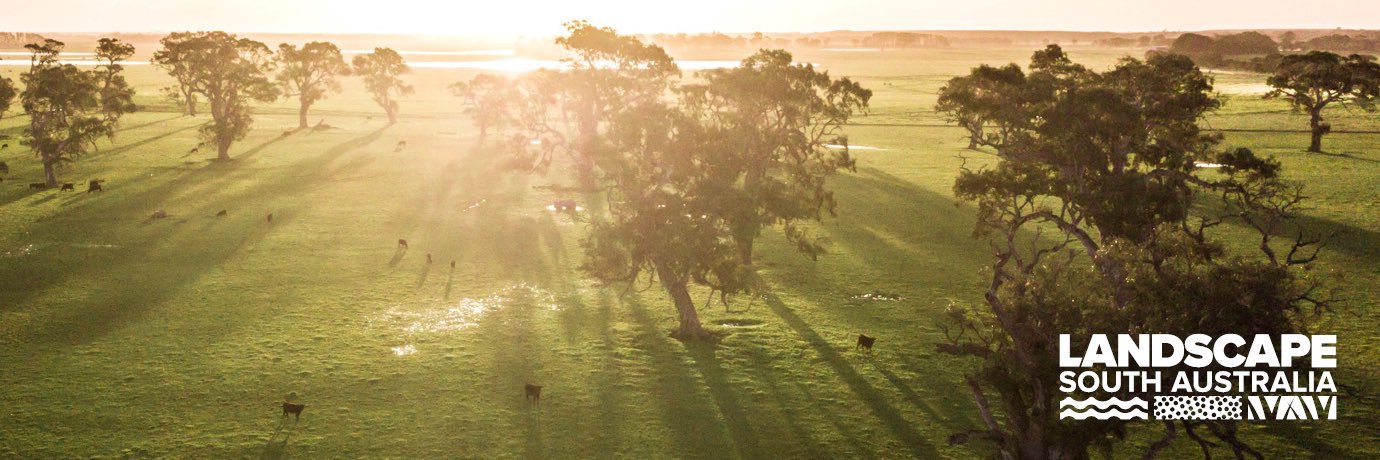 Limestone Coast Landscape Board banner
