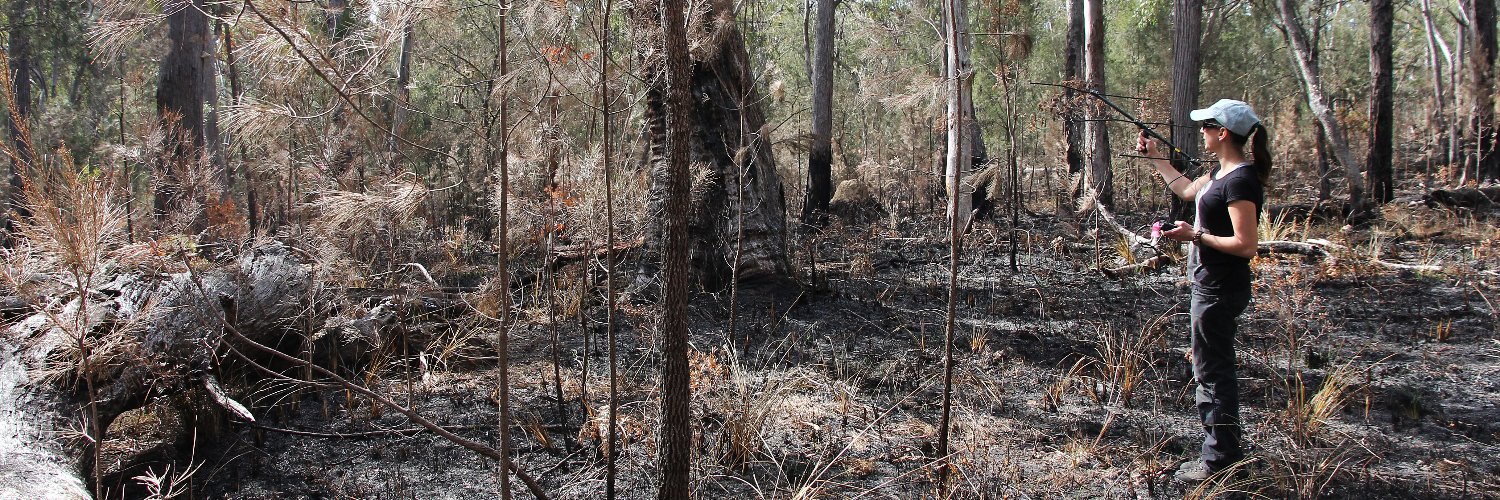 Clare Stawski banner