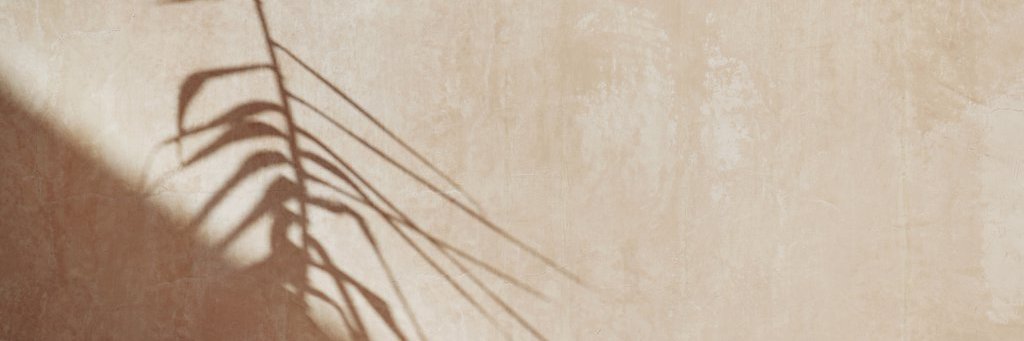 Camille W banner