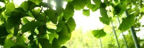 la_guaina_ph's profile banner image