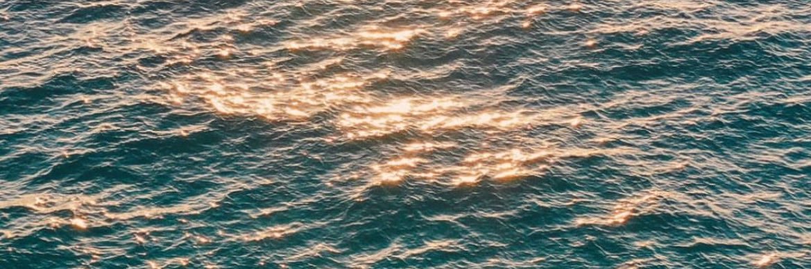 emilialv11's profile banner image