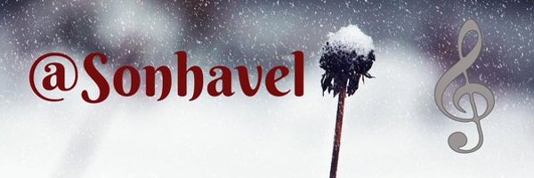 sonhavel's profile banner image
