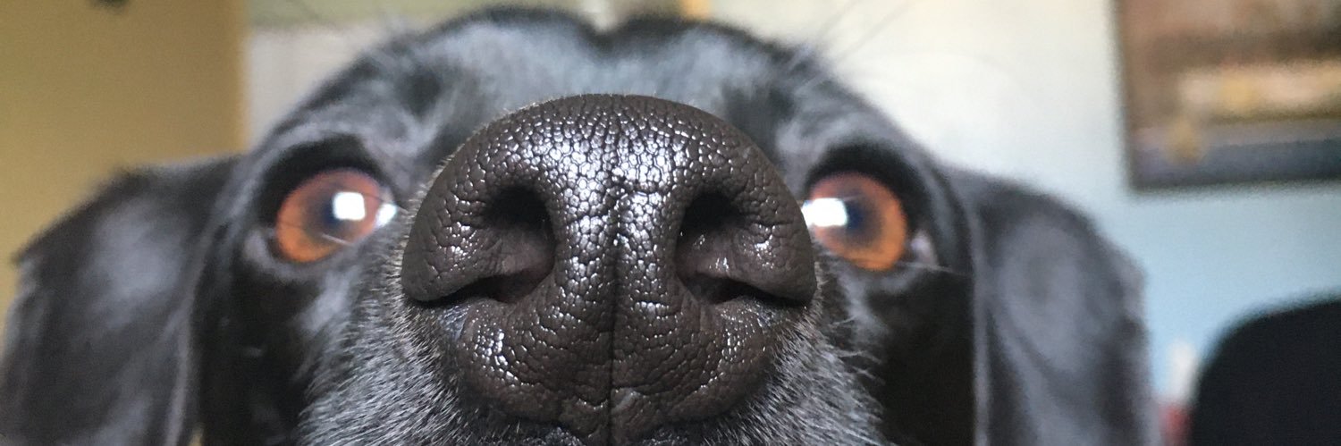 Amandaa_back's profile banner image