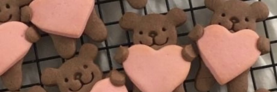 kassipitner's profile banner image