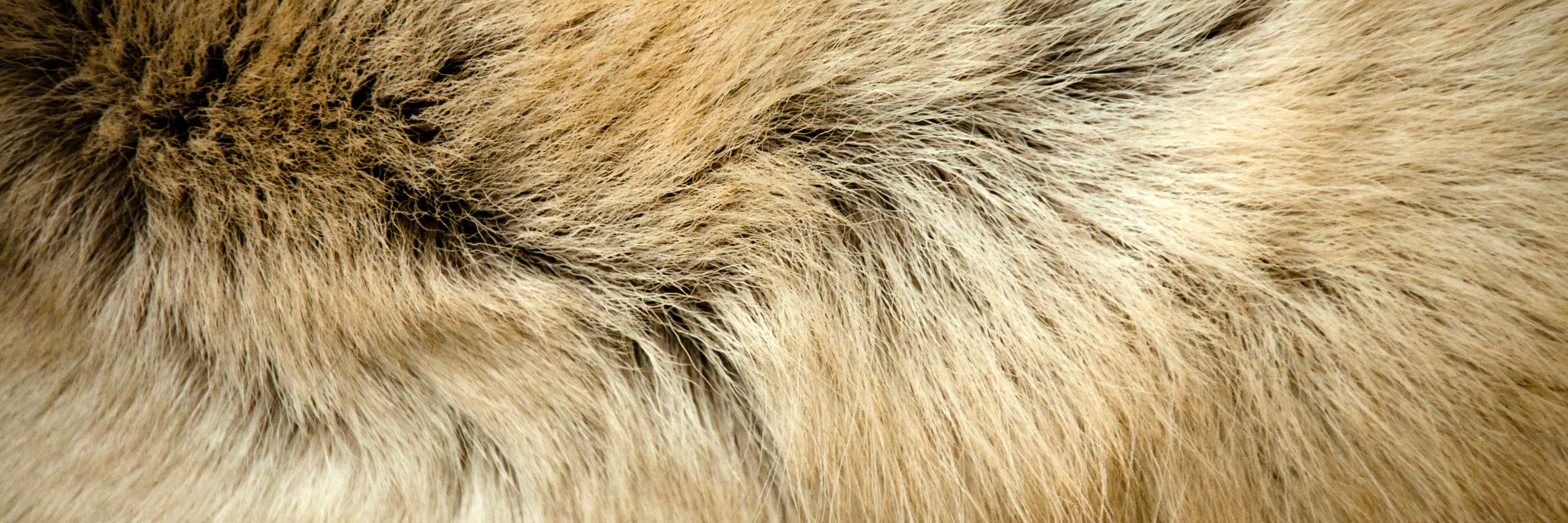 ProxySwears's profile banner image