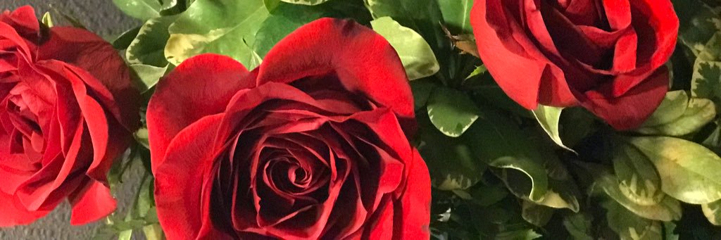 ritaamarie_'s profile banner image