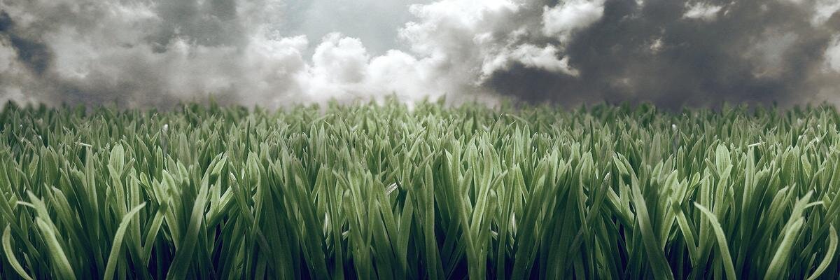 themudkid's profile banner image