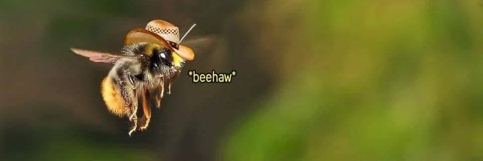 JessiLovesWho's profile banner image