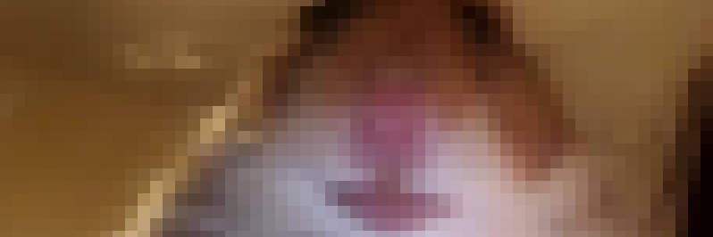 Noise568's profile banner image