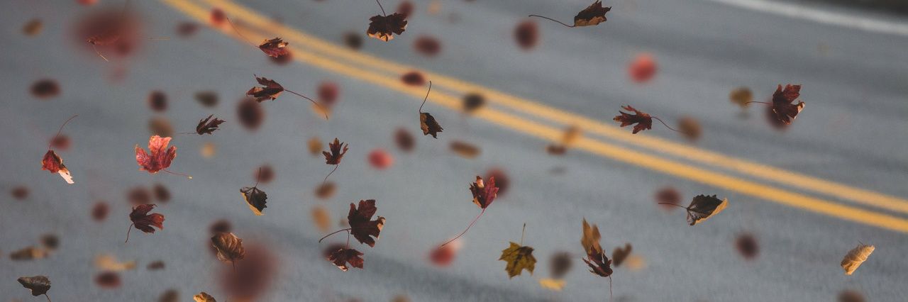 chicahipslu's profile banner image