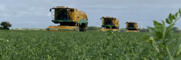 FenPeasLtd Profile Banner