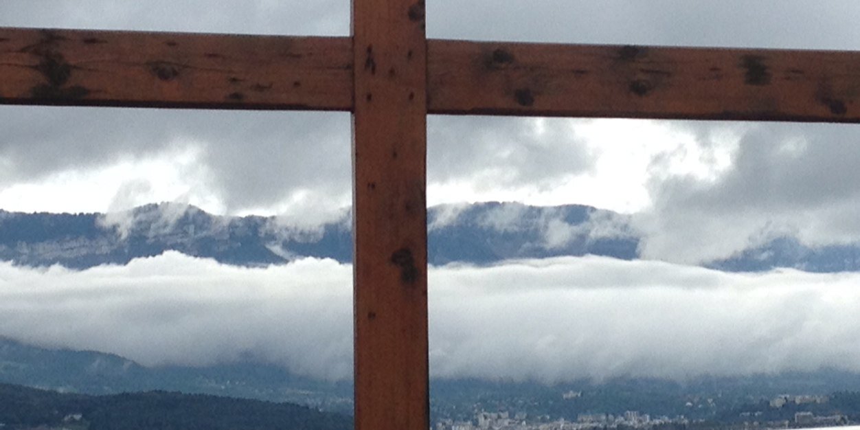 Elizabeth Green banner