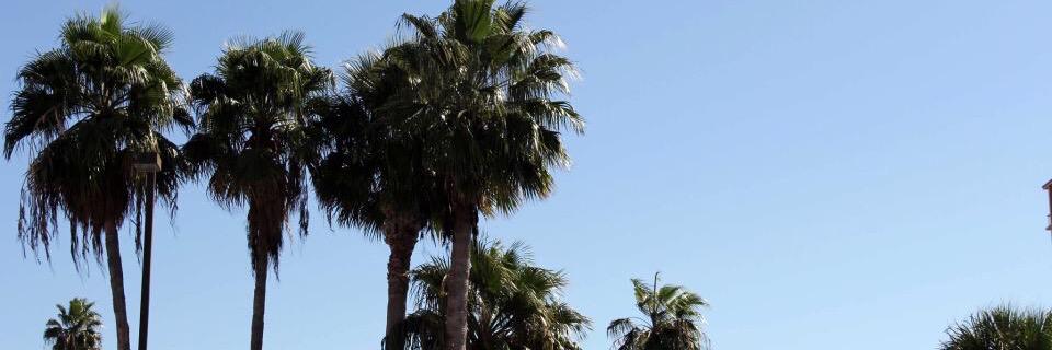 Dulapeep Jude banner