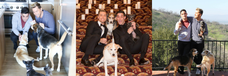 TeamLanceBass banner