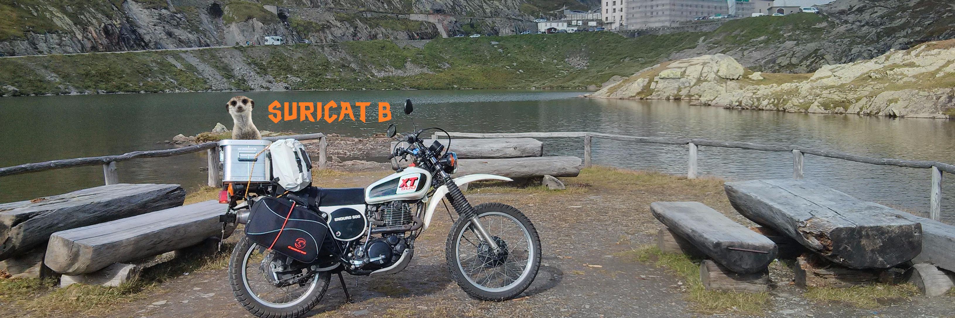 SuricatB's profile banner image